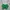 H&M Minimalist Casual Crop top Wanita green photo 2