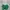 H&M Minimalist Casual Crop Top Wanita Green