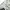 Pricklycholla Streetwear Y2K Wide leg jeans Wanita white photo 2