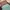 Longchamp Casual Tote bag Wanita green photo 5