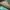 Longchamp Casual Tote bag Wanita green photo 3