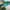Longchamp Casual Tote bag Wanita green photo 8