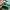 Longchamp Casual Tote bag Wanita green photo 7