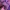 The North Face Casual Parka Pria purple black photo 5