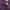 The North Face Casual Parka Pria purple black photo 7