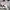 H&M Minimalist Crop Top Wanita White Gray