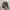Realtree Streetwear Y2K Hat Pria Brown Gray