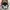 Realtree Streetwear Y2K Hat Pria brown gray photo 7