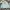Carhartt Streetwear Casual Sweater Pria blue photo 1