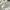 Carhartt Streetwear Casual Sweater Pria gray photo 3