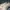 Adidas Streetwear Y2K Sneakers Pria green white photo 3