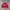 Vintage Sportswear Windbreaker Wanita red photo 4
