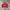 Vintage Sportswear Windbreaker Wanita red photo 2