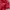 Vintage Sportswear Windbreaker Wanita red photo 6