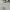 Grooverhyme Minimalist Hoody Pria gray photo 4