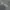 Grooverhyme Minimalist Hoody Pria gray photo 2