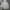 Grooverhyme Minimalist Hoody Pria gray photo 1