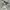 Grooverhyme Minimalist Hoody Pria gray photo 5