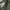 Stone Island Casual Bomber jacket Pria green photo 3