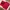 Streetwear Gorpcore Vest Pria red photo 6