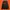 Nike Vintage Sportswear Sweatshirt Pria black photo 1