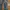 Blue Moon Blue Vintage Streetwear Jeans Pria blue photo 3