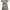 Zara Casual Casual dress Wanita white photo 1