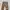 Diesel Grunge Goth Jeans Pria brown photo 2