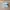 Salomon Casual Sneakers Pria white blue photo 2