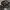 Schee Realtree Camo photo 4
