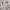 Mezzo Piano Coquette Casual Sweatshirt Wanita pink gray photo 2