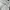 OOTJ Streetwear Skater Jeans Pria cream photo 7