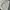 OOTJ Streetwear Skater Jeans Pria cream photo 6