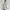 Spao Streetwear Casual Puffer jacket Pria cream gray photo 3