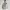 Spao Streetwear Casual Puffer jacket Pria cream gray photo 1