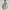 Spao Streetwear Casual Puffer Jacket Pria Cream Gray