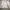 Spao Streetwear Casual Puffer jacket Pria cream gray photo 7