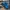 Nike Streetwear Y2K Sneakers Pria blue black photo 2