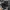 Nike Streetwear Y2K Sneakers Pria black photo 5