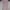 Y2K Cosplay Skirt Wanita pink photo 1