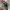 Gorpcore Sportswear Windbreaker Pria green gray photo 6