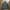 Vintage Streetwear Fleece Pria green gray photo 2