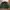 Vintage Streetwear Fleece Pria green gray photo 6
