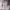 Adidas Sportswear Windbreaker Pria white photo 1