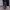Thanksinsomnia Indie Formal pants Pria multicolor photo 4