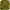 H&M Streetwear Casual Casual shirt Pria green photo 3
