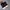 Vans Skater Casual shoe Pria black photo 5