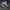 Adidas Streetwear Casual Sneakers Wanita navy photo 1