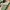 Adidas Casual Sneakers Wanita green cream photo 2