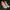 Converse Streetwear Casual Sneakers Wanita yellow photo 1